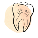 Leczenie kanałowe – endodoncja
